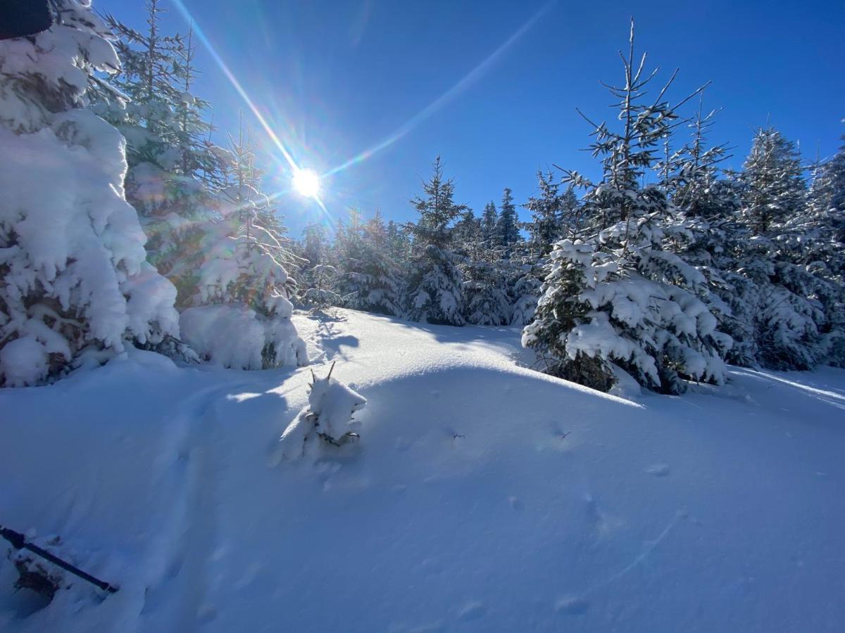 Top Fewo Mit Sommercard Winterberg Bagian luar foto
